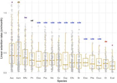 Variable Growth Across Species and Life Stages in Caribbean Reef Octocorals